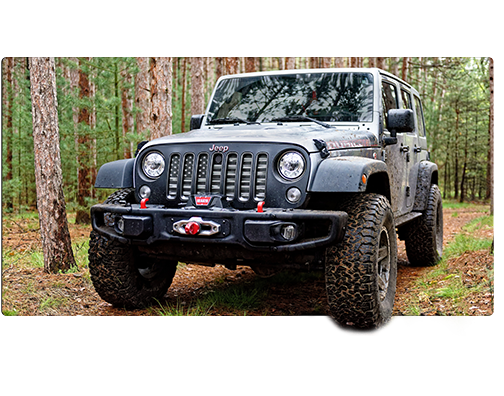 Jeep driving through woods